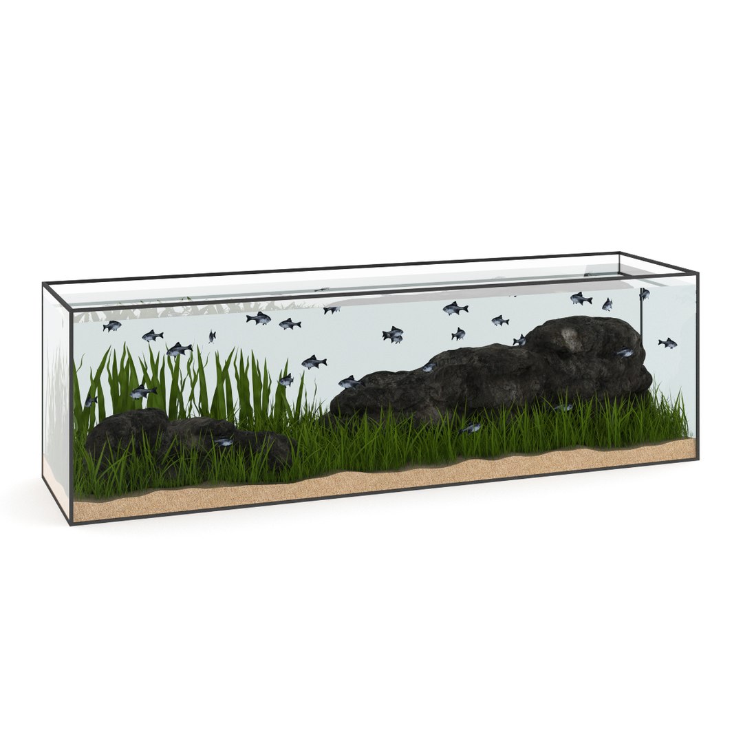 3d model volume 24 aquariums https://p.turbosquid.com/ts-thumb/t4/QW1XBt/jG34Hq67/09acopy/jpg/1348728798/1920x1080/fit_q87/2ed7edf28868856da10a9ac24da98dbb8ff607d3/09acopy.jpg