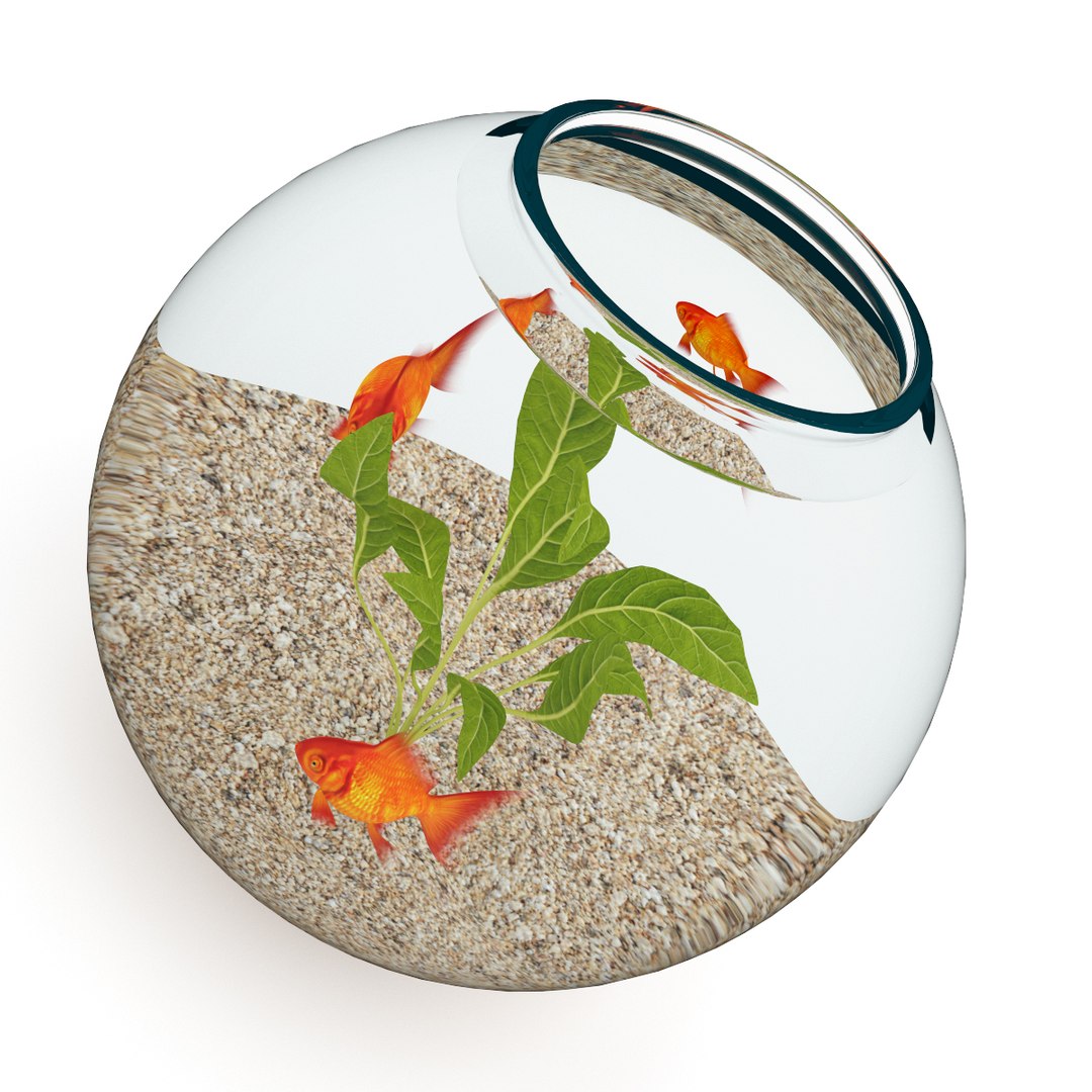 3d model volume 24 aquariums https://p.turbosquid.com/ts-thumb/t4/QW1XBt/lAWqpzlc/10b0000copy/jpg/1348728798/1920x1080/fit_q87/fad4fffcac629b403f0c98491b4a2dad77b69d06/10b0000copy.jpg