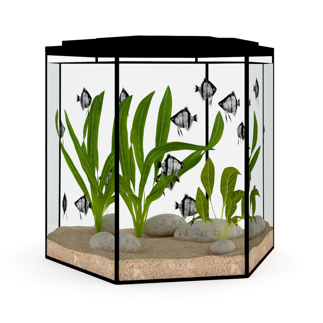 3d model volume 24 aquariums https://p.turbosquid.com/ts-thumb/t4/QW1XBt/pcUBzngZ/11a0000copy/jpg/1348728798/1920x1080/fit_q87/6a2ba3d8f4d6cb0960ac398df55da5ff212f64d1/11a0000copy.jpg