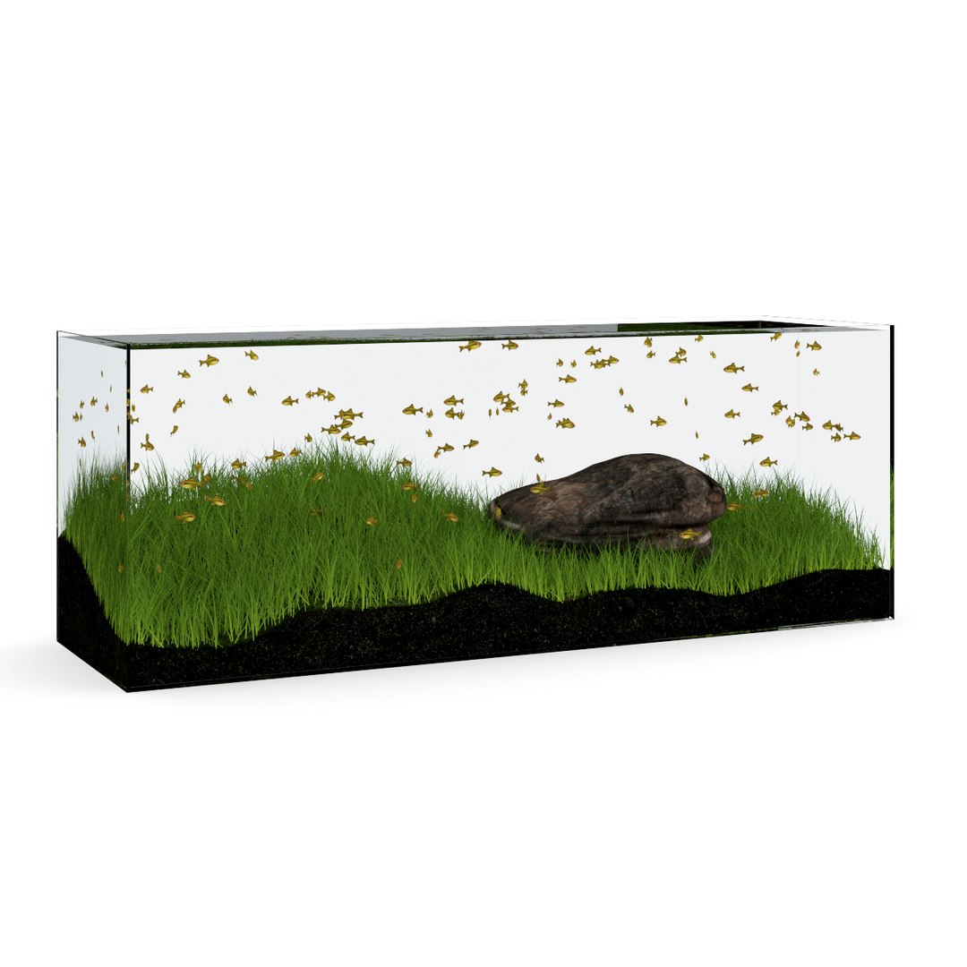 3d model volume 24 aquariums https://p.turbosquid.com/ts-thumb/t4/QW1XBt/rxyW1wEm/02a0000copy/jpg/1348728798/1920x1080/fit_q87/f72c248902e837c117003d9550697d589c10e59d/02a0000copy.jpg