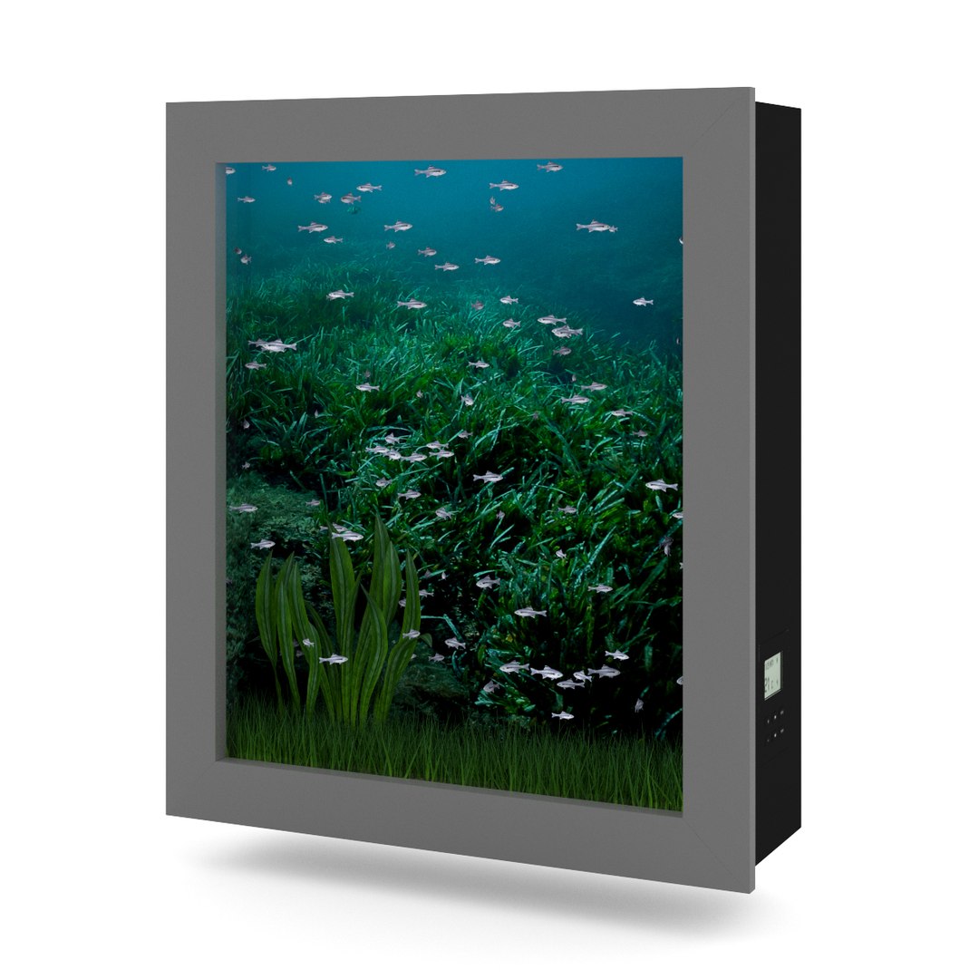 3d model volume 24 aquariums https://p.turbosquid.com/ts-thumb/t4/QW1XBt/xi8xBXJb/13a0000copy/jpg/1348728799/1920x1080/fit_q87/6534af0fd0933aec8e5ffc5e4909295d3e8f52b2/13a0000copy.jpg