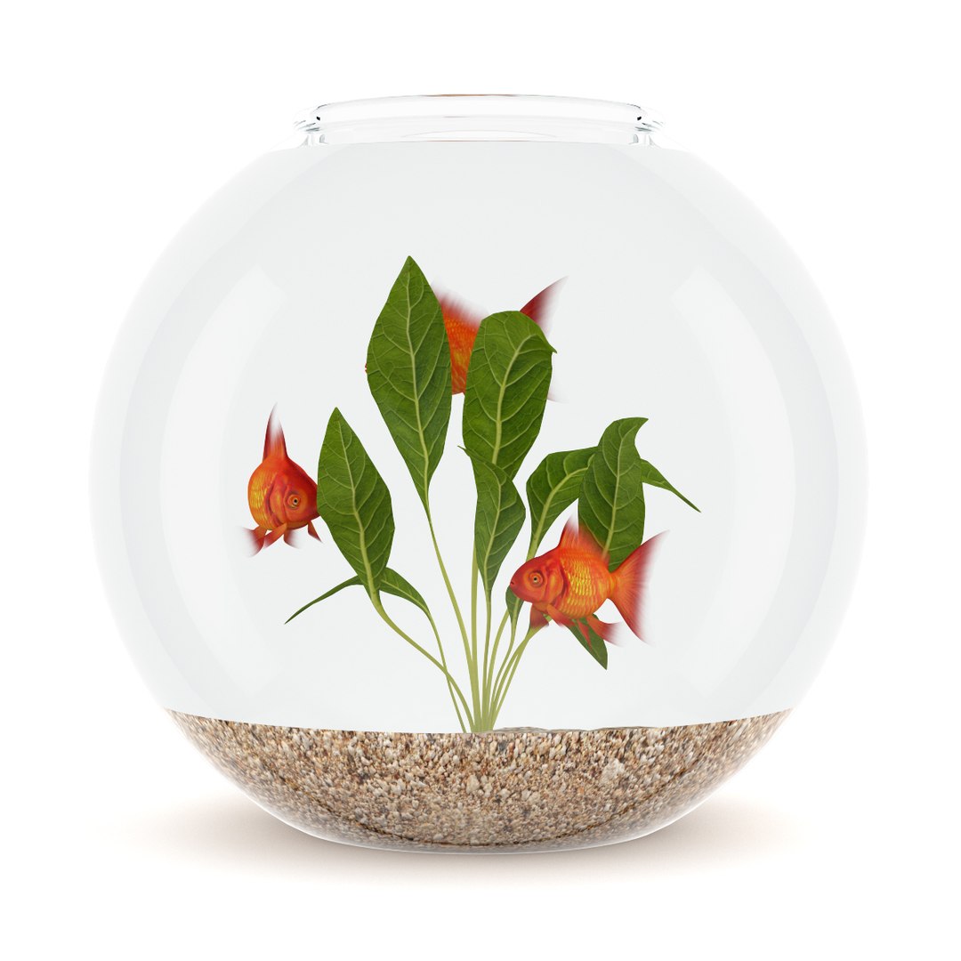 3d model volume 24 aquariums https://p.turbosquid.com/ts-thumb/t4/QW1XBt/z0gcp50h/10acopy/jpg/1348728798/1920x1080/fit_q87/aac47f2a40919eae49e0b1af09f590ea0bc5541b/10acopy.jpg