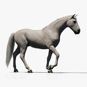 Horse animated
