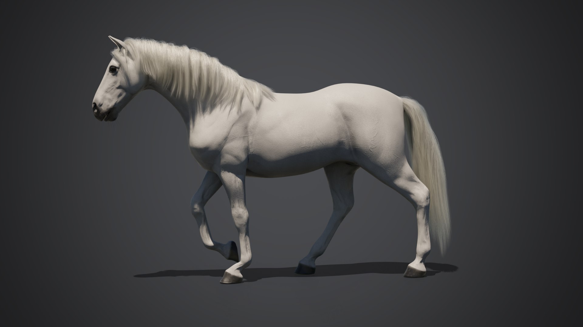 3D model Horse animated https://p.turbosquid.com/ts-thumb/t4/SKnvYy/W0/z06_comp/png/1714224619/1920x1080/fit_q87/0088b3d99eac9be5a56d3370c168e29aac836e90/z06_comp.jpg