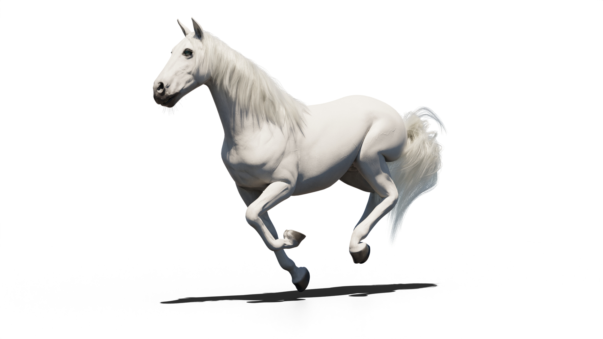 3D model Horse animated https://p.turbosquid.com/ts-thumb/t4/SKnvYy/nm/run/png/1765130644/1920x1080/turn_fit_q99/b8ea5886f270360267351da4dd75974629d3b97c/run-1.jpg