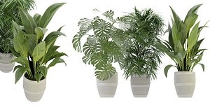 Collection plant vol 348 - blender model