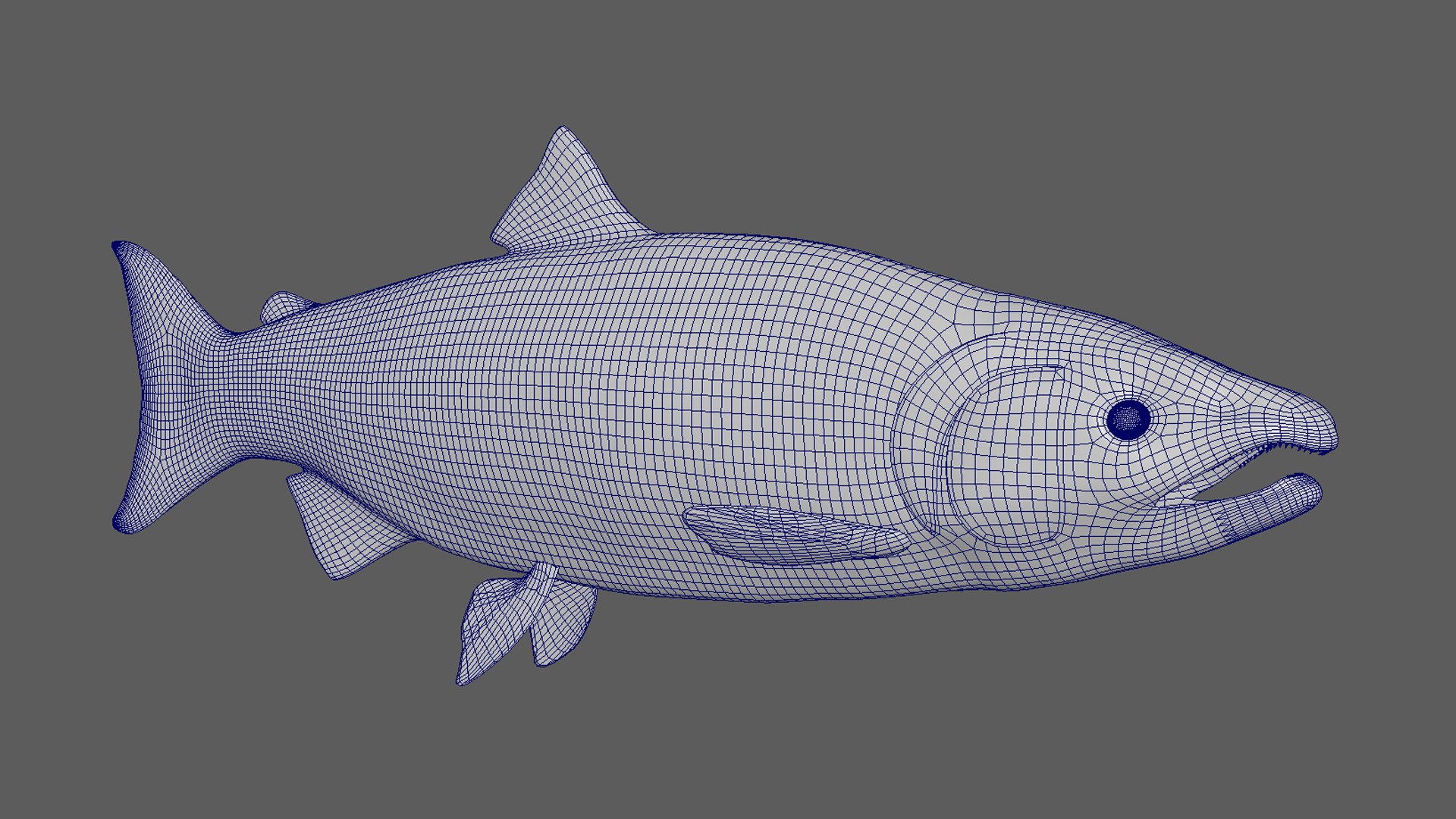 Fish Salmon 3D Model - TurboSquid 2322814