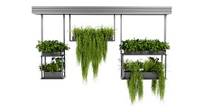 Collection plant vol 479 - blender model 3D model
