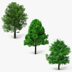 Realistic Lowpoly Summer Tree Collection 3D