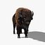 bison fur 3d model