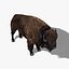 bison fur 3d model