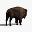 bison fur 3d model