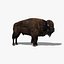bison fur 3d model