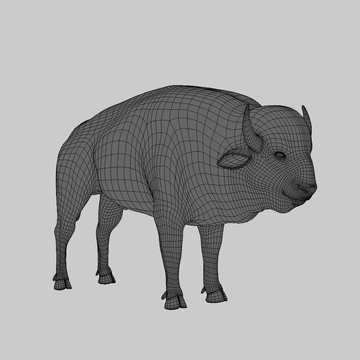 Bison Fur 3d Model 0178