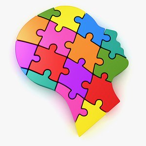 Puzzle Head