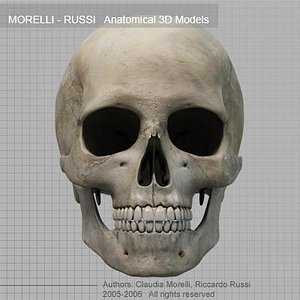 SKULL Textured MR