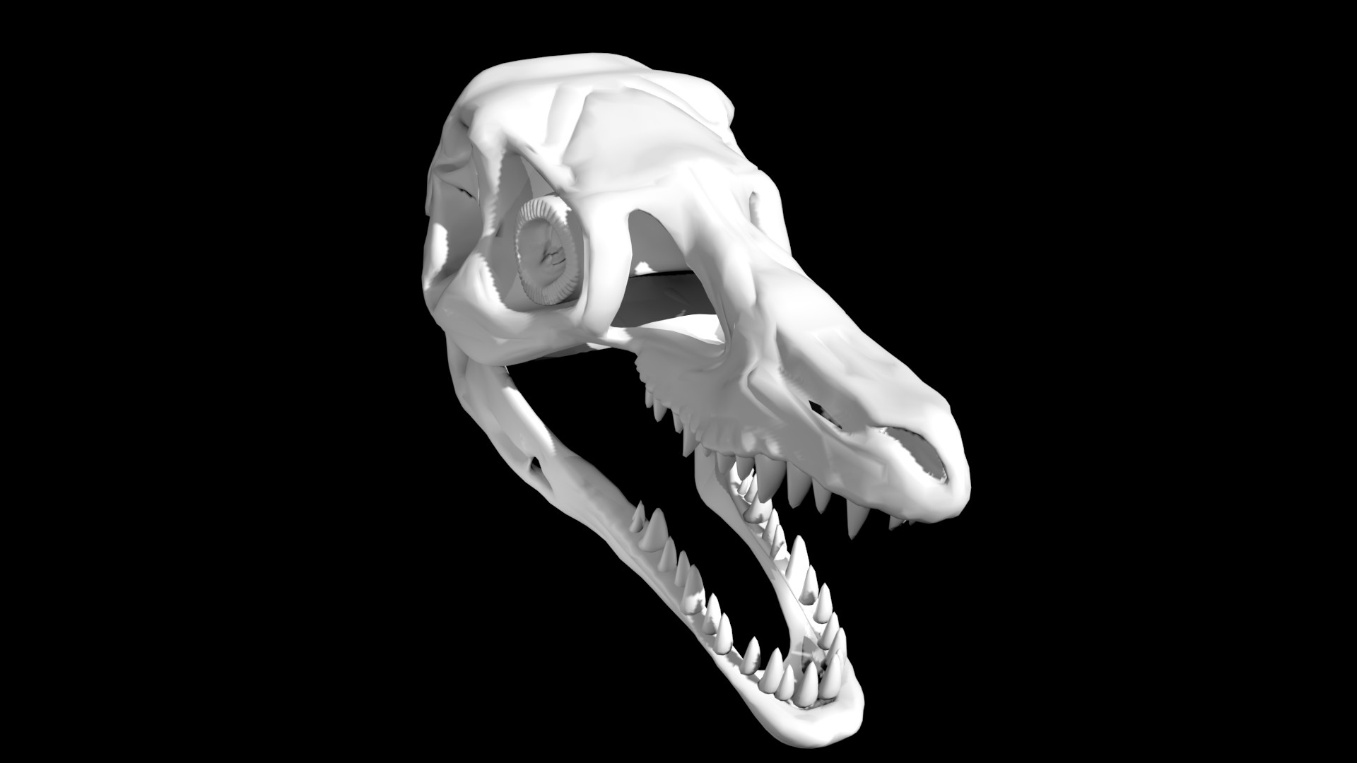 Velociraptor skull Model 3D - TurboSquid 1886955