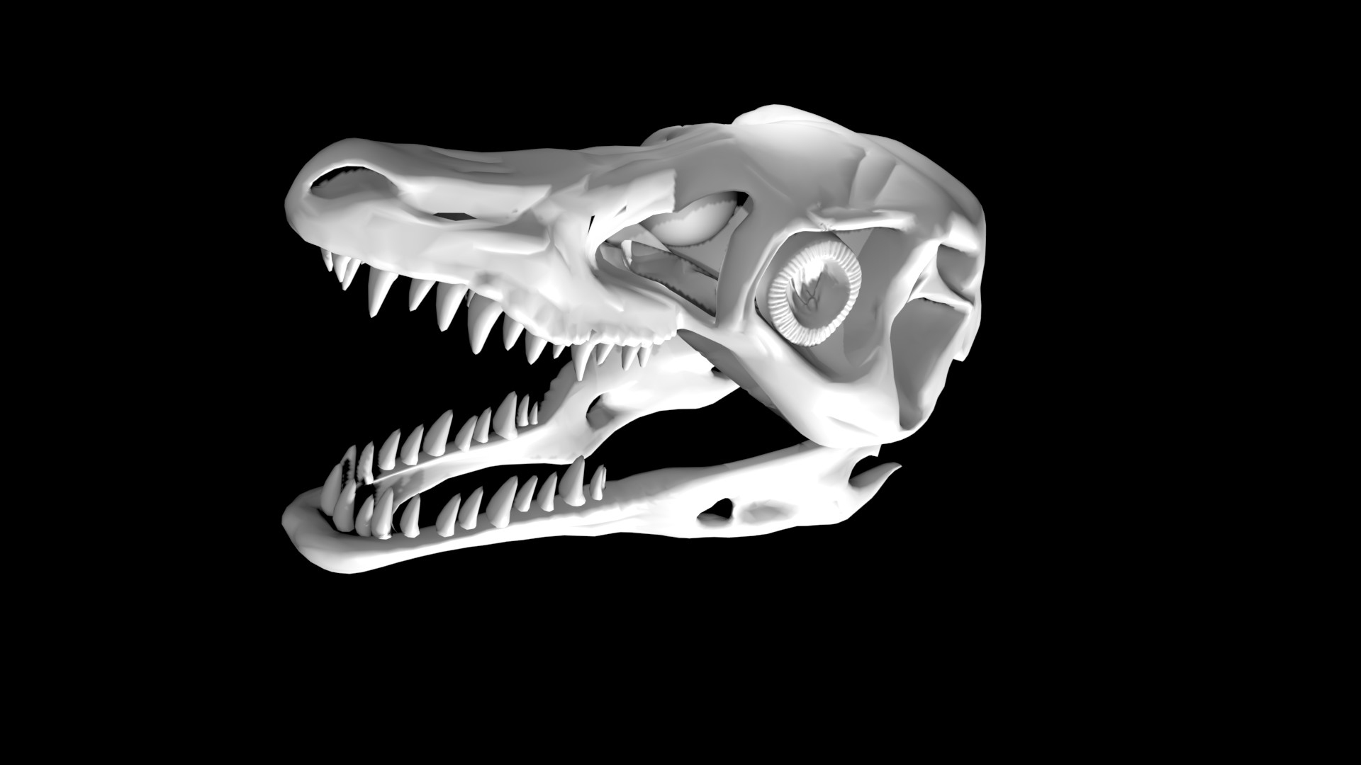 Velociraptor skull Model 3D - TurboSquid 1886955