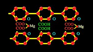 3D magnesium pectate model