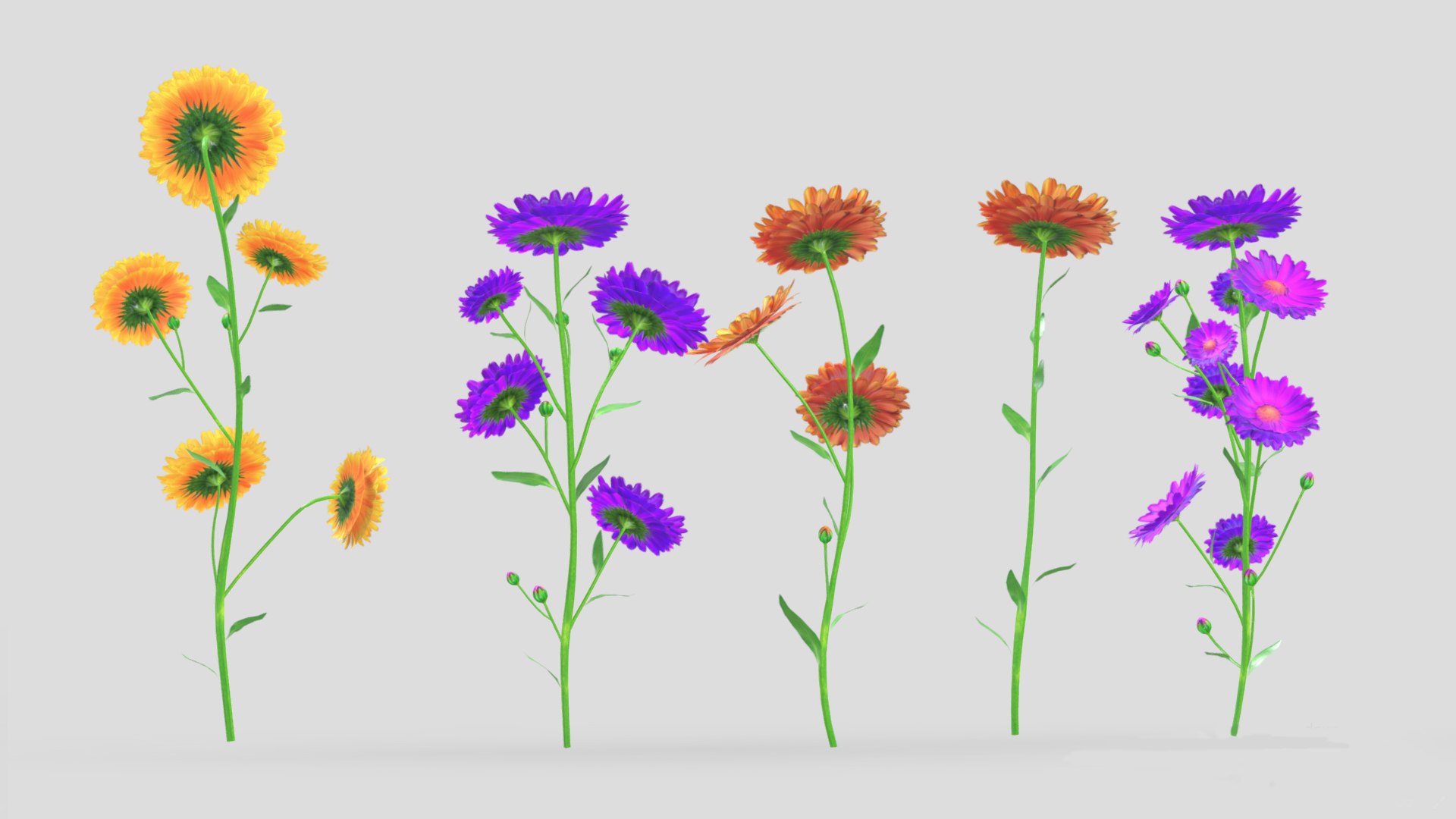 Calendula flower Low Poly 3D model https://p.turbosquid.com/ts-thumb/t5/JBsr6o/2f/calendulaflowerlowpoly009/jpg/1733128632/1920x1080/fit_q87/3cfb279a305d3d2d69ad6ca138662da2995cf58a/calendulaflowerlowpoly009.jpg