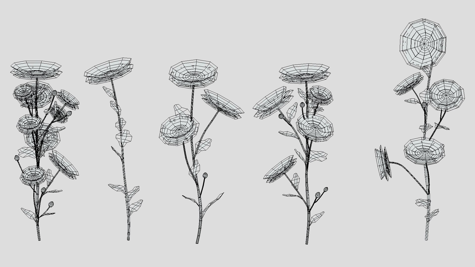 Calendula flower Low Poly 3D model https://p.turbosquid.com/ts-thumb/t5/JBsr6o/Ba/calendulaflowerlowpoly002/jpg/1733128628/1920x1080/fit_q87/182caa7b75d43caf00fb583c0306de95cd755993/calendulaflowerlowpoly002.jpg