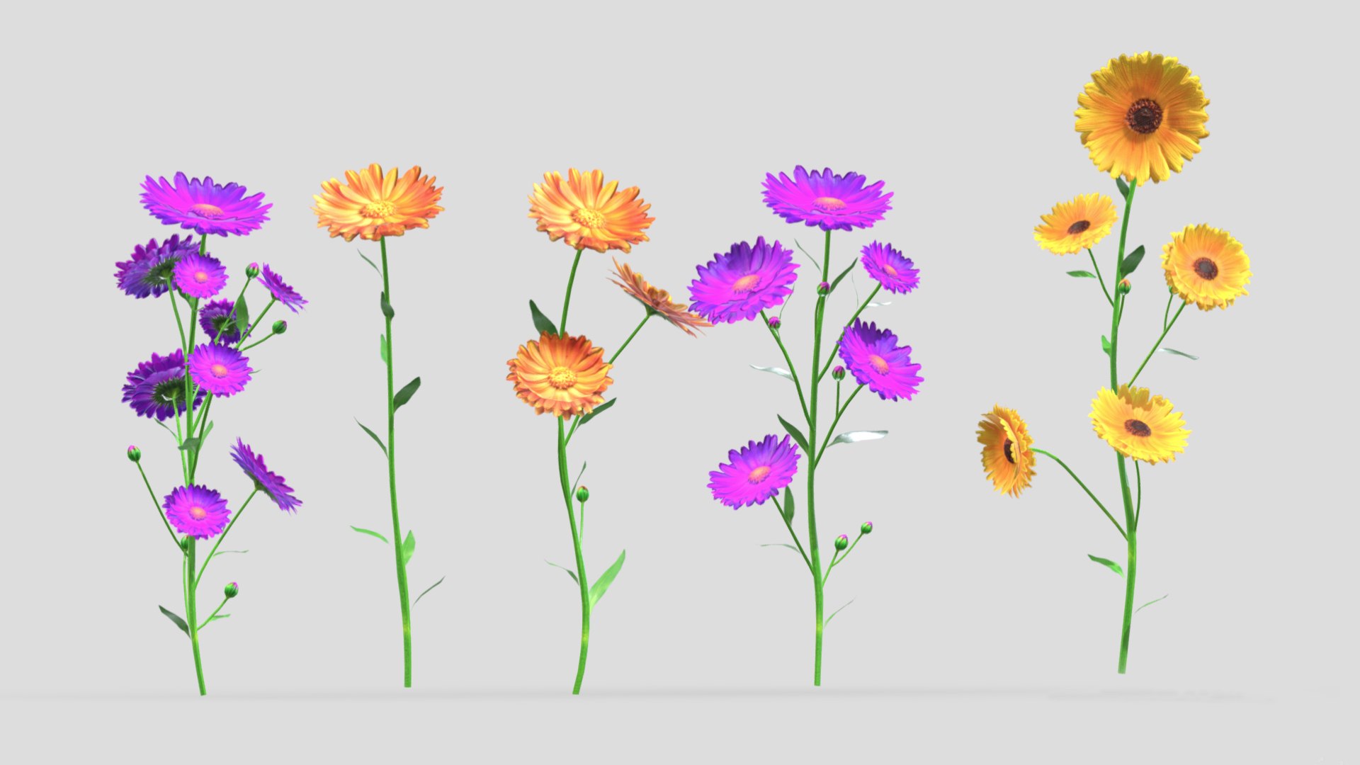 Calendula flower Low Poly 3D model https://p.turbosquid.com/ts-thumb/t5/JBsr6o/GV/calendulaflowerlowpoly005/jpg/1733128629/1920x1080/fit_q87/214f19b9c3d1b41d3340dcae2778767fe1d4d82a/calendulaflowerlowpoly005.jpg