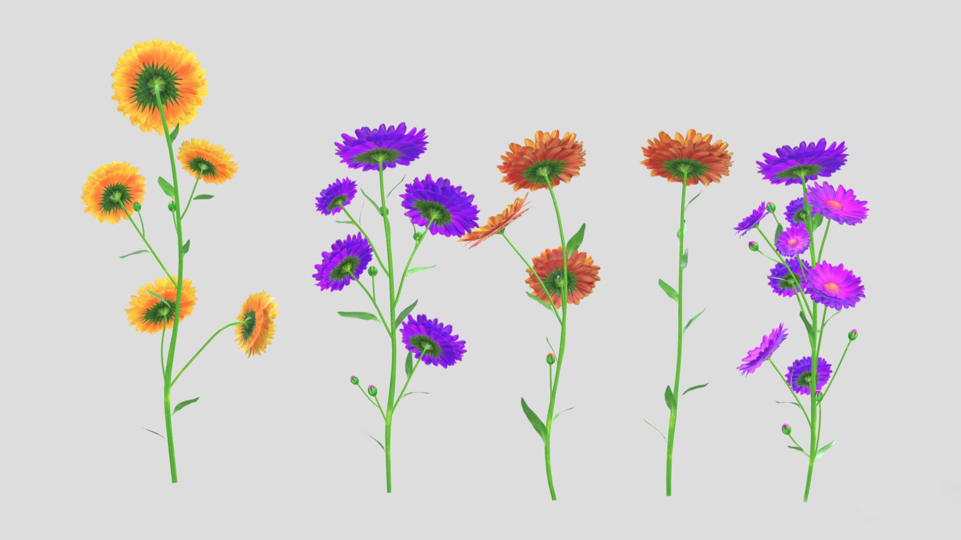 Calendula flower Low Poly 3D model https://p.turbosquid.com/ts-thumb/t5/JBsr6o/IU/calendulaflowerlowpoly010/jpg/1733128633/1920x1080/fit_q87/fb119bfd96385eb6bd03b8dfb71de9d2c69f9deb/calendulaflowerlowpoly010.jpg