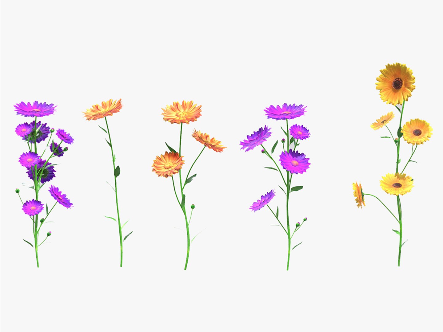 Calendula flower Low Poly 3D model https://p.turbosquid.com/ts-thumb/t5/JBsr6o/Lp/1200x900/jpg/1733128624/1920x1080/fit_q87/73385281f52f4449b9e0014ec9d0e969a3451767/1200x900.jpg