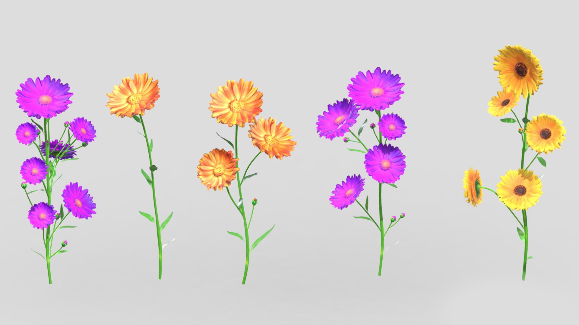 Calendula flower Low Poly 3D model https://p.turbosquid.com/ts-thumb/t5/JBsr6o/ae/calendulaflowerlowpoly003/jpg/1733128627/1920x1080/fit_q87/954af2123ff086cc3e1476fe0672943d52a95ef9/calendulaflowerlowpoly003.jpg