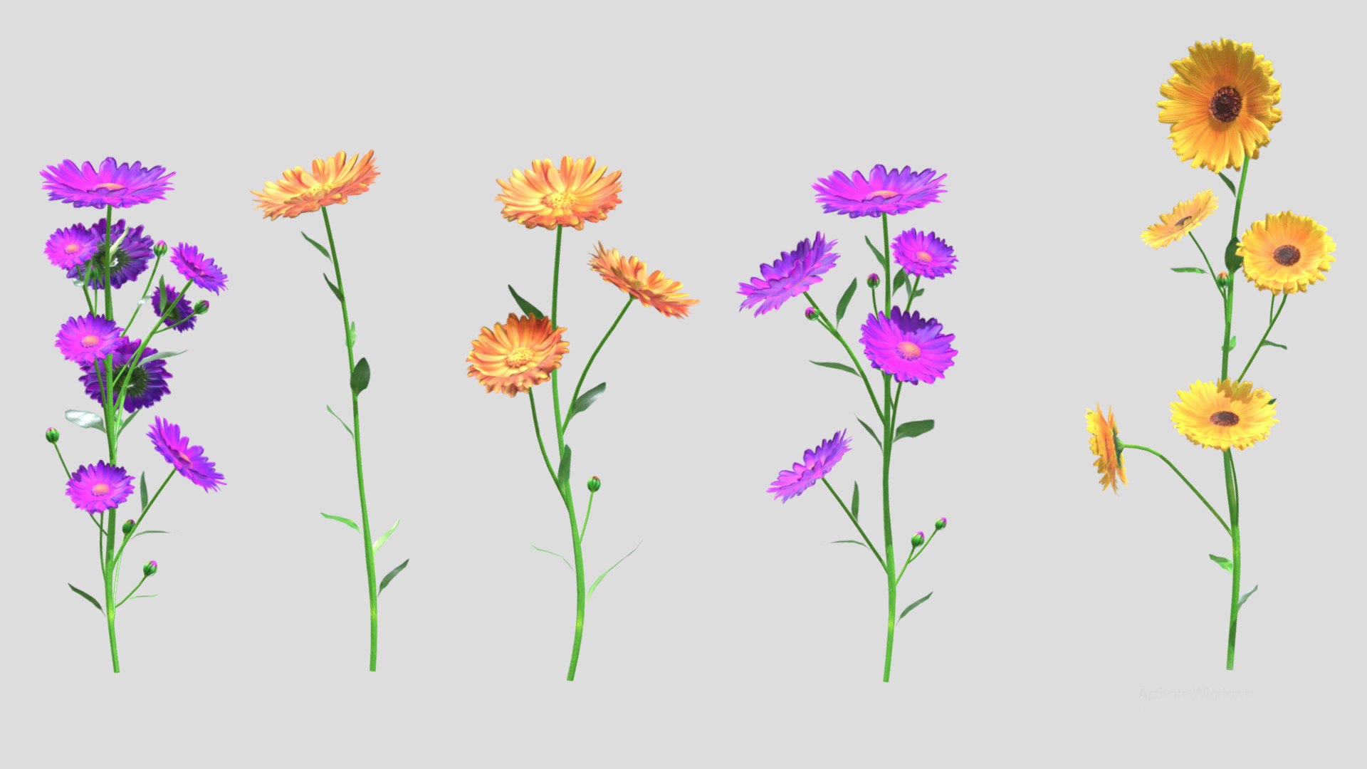 Calendula flower Low Poly 3D model https://p.turbosquid.com/ts-thumb/t5/JBsr6o/oM/calendulaflowerlowpoly001/jpg/1733128625/1920x1080/fit_q87/2bb106d02bd367c7f0c1528d9b23e1cc215cc22b/calendulaflowerlowpoly001.jpg