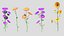 Fleur de calendula Low Poly