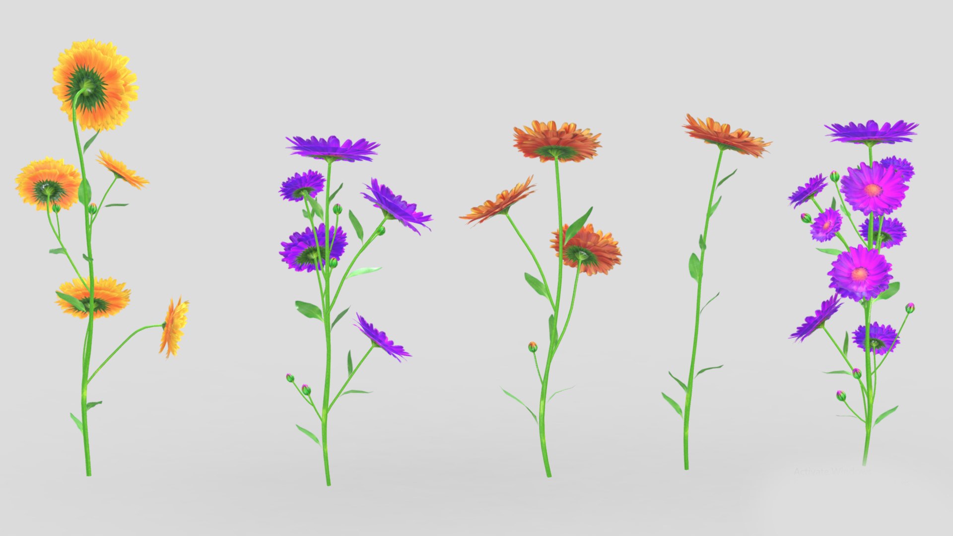Calendula flower Low Poly 3D model https://p.turbosquid.com/ts-thumb/t5/JBsr6o/sn/calendulaflowerlowpoly008/jpg/1733128631/1920x1080/fit_q87/acde8718952cb6159eb7139e78511f7a1ee694e8/calendulaflowerlowpoly008.jpg