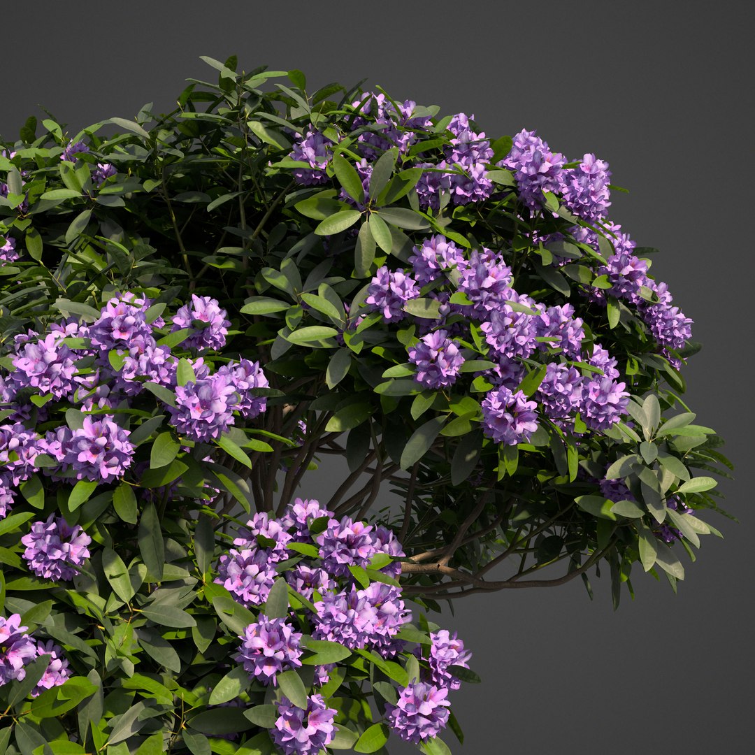 3D 2021 pbr asia library model https://p.turbosquid.com/ts-thumb/t5/MAqzd6/0A/as17_front/jpg/1613169438/1920x1080/fit_q87/75cc3e984667398317e8a5f9bd4f9b49f7fdeb83/as17_front.jpg