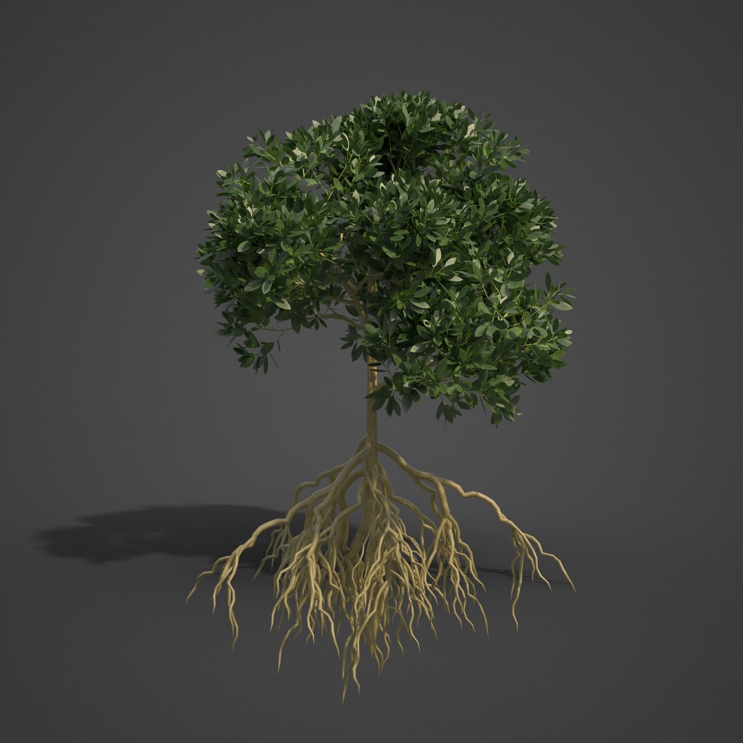 3D 2021 pbr asia library model https://p.turbosquid.com/ts-thumb/t5/MAqzd6/9i/as16_03/png/1613169405/1920x1080/fit_q87/9ddc481bf9542536e368f93f9c8f0355658110cf/as16_03.jpg
