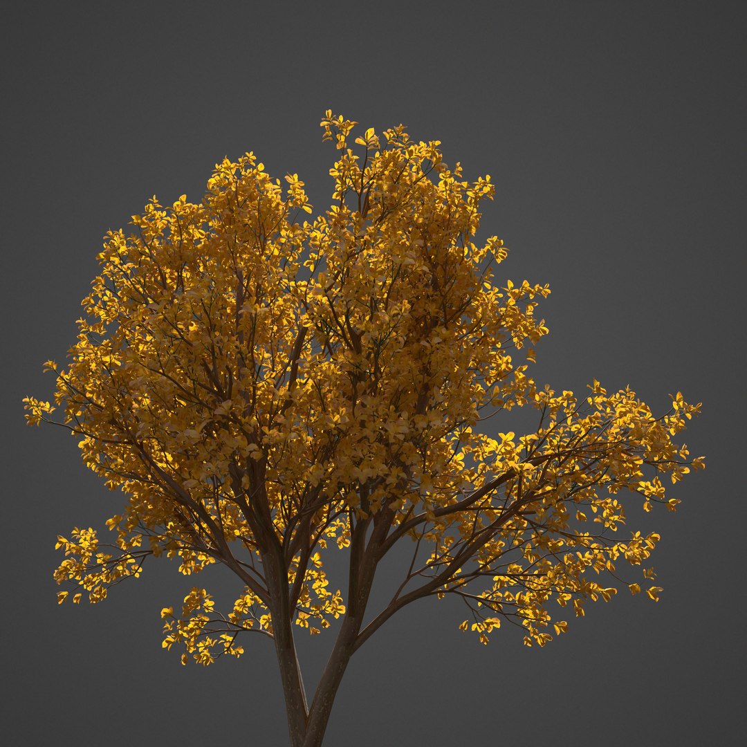 3D 2021 pbr asia library model https://p.turbosquid.com/ts-thumb/t5/MAqzd6/PB/as14_backlit/jpg/1613169366/1920x1080/fit_q87/0f6dabdcfaba39896ee856270f7d36e10ef16281/as14_backlit.jpg
