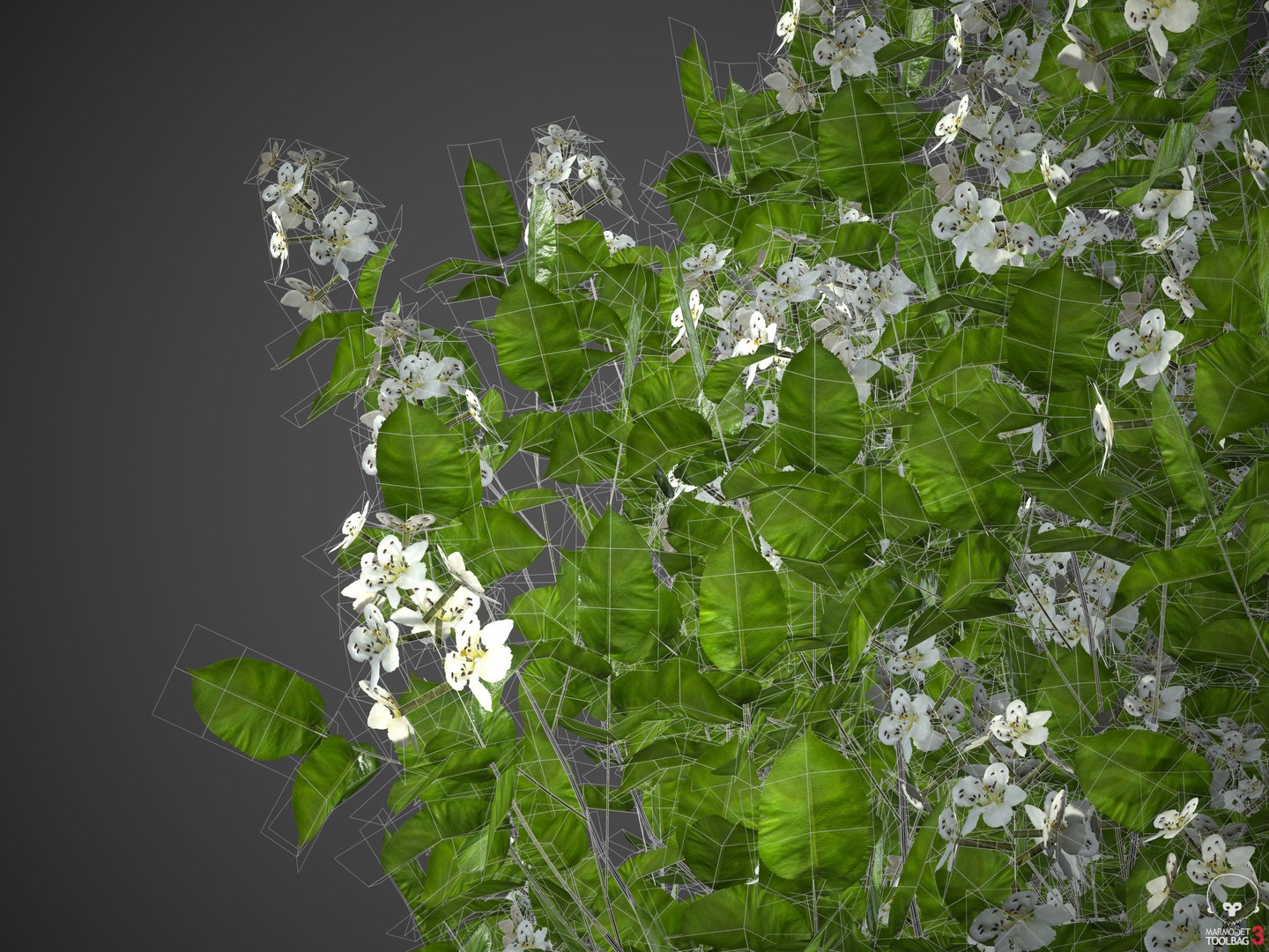 3D 2021 pbr asia library model https://p.turbosquid.com/ts-thumb/t5/MAqzd6/WE/wireframe/jpg/1613169536/1920x1080/fit_q87/33131ec6ecbb0333e2cf399cf0ab8c3739d8d4f6/wireframe.jpg
