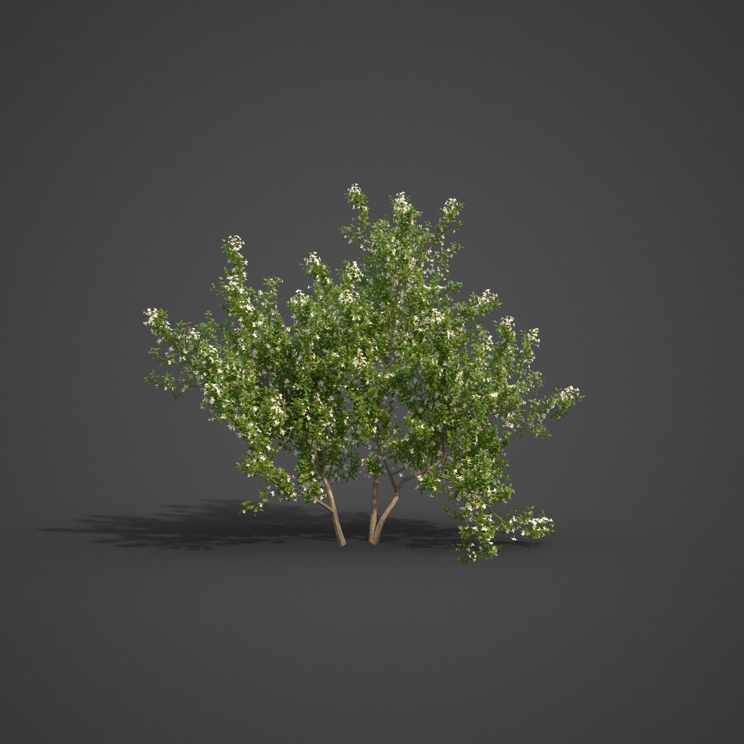 3D 2021 pbr asia library model https://p.turbosquid.com/ts-thumb/t5/MAqzd6/XR/as09_05/png/1613169589/1920x1080/fit_q87/e7df25a2b18c9b8764c3e92de72ef18dc6f8b729/as09_05.jpg