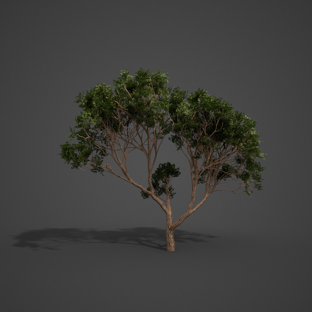 3D 2021 pbr asia library model https://p.turbosquid.com/ts-thumb/t5/MAqzd6/bp/as11_02/png/1613169601/1920x1080/fit_q87/c7e01eac626f898a71a027e980b2e8780511a56b/as11_02.jpg