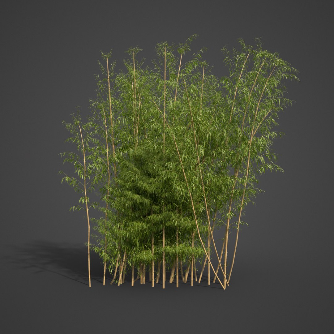 3D 2021 pbr asia library model https://p.turbosquid.com/ts-thumb/t5/MAqzd6/gL/as01_08/png/1613169283/1920x1080/fit_q87/3ca7b57dfb40549771d84818180c96c8781f082c/as01_08.jpg