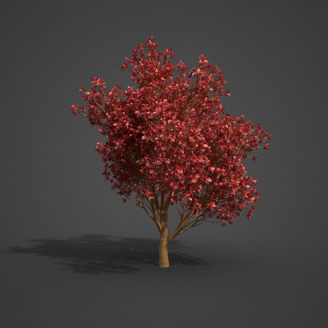 3D 2021 pbr asia library model https://p.turbosquid.com/ts-thumb/t5/MAqzd6/jT/as14_05/png/1613169372/1920x1080/fit_q87/ab93f9590e3ec40d192de7ff869472659326afc4/as14_05.jpg