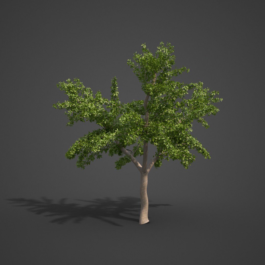 3D 2021 pbr asia library model https://p.turbosquid.com/ts-thumb/t5/MAqzd6/jX/as20_09/png/1613169516/1920x1080/fit_q87/1278fc282b6a12c83ba89fc2a7e6576903e9ce0c/as20_09.jpg