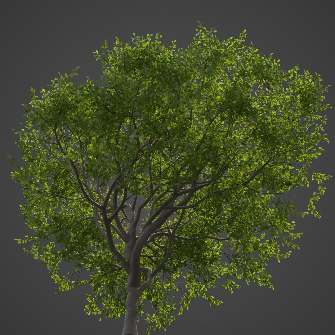3D 2021 pbr asia library model https://p.turbosquid.com/ts-thumb/t5/MAqzd6/nA/as18_backlit/jpg/1613169485/1920x1080/fit_q87/eed520405be1834e11022d964cf700299e0f7cd7/as18_backlit.jpg