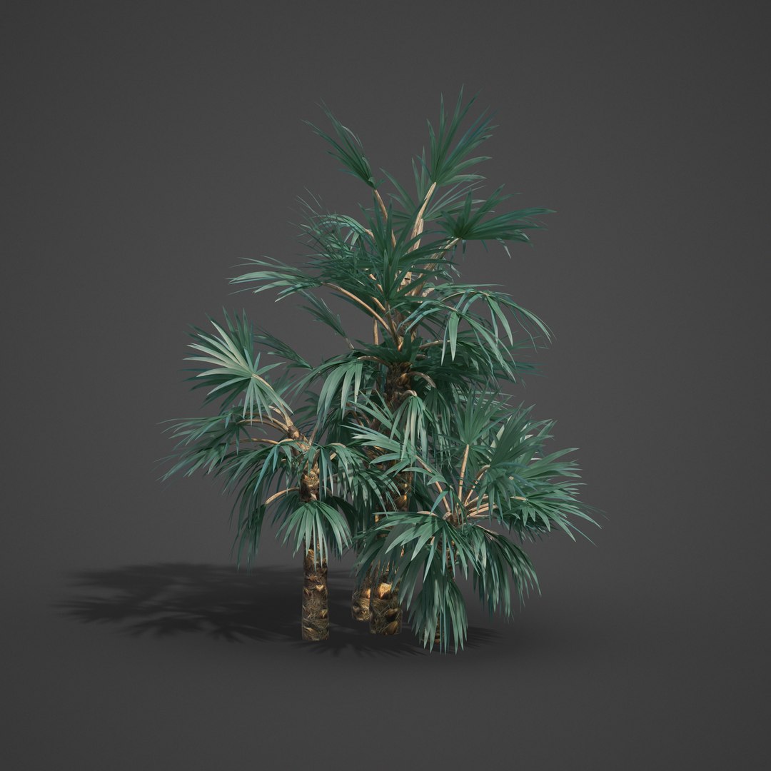 3D 2021 pbr asia library model https://p.turbosquid.com/ts-thumb/t5/MAqzd6/qO/as13_08/png/1613169357/1920x1080/fit_q87/3e7c7b0f78e41f474c365a028caa3659df17cff5/as13_08.jpg
