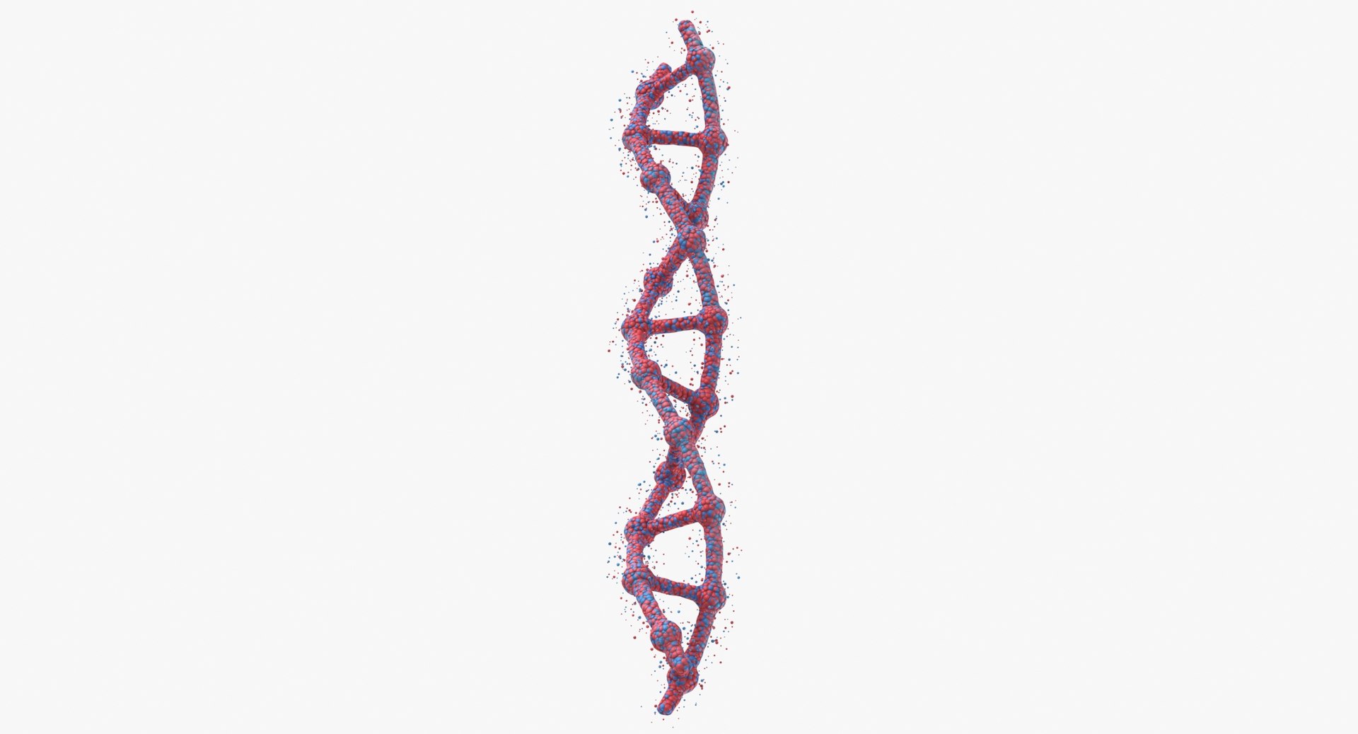 3D model DNA https://p.turbosquid.com/ts-thumb/t5/TKVxuH/ct/dna_thumbnail_0008/jpg/1651748348/1920x1080/fit_q87/14555c14ed6c9d9747294f6c56ab6587d8378dfb/dna_thumbnail_0008.jpg