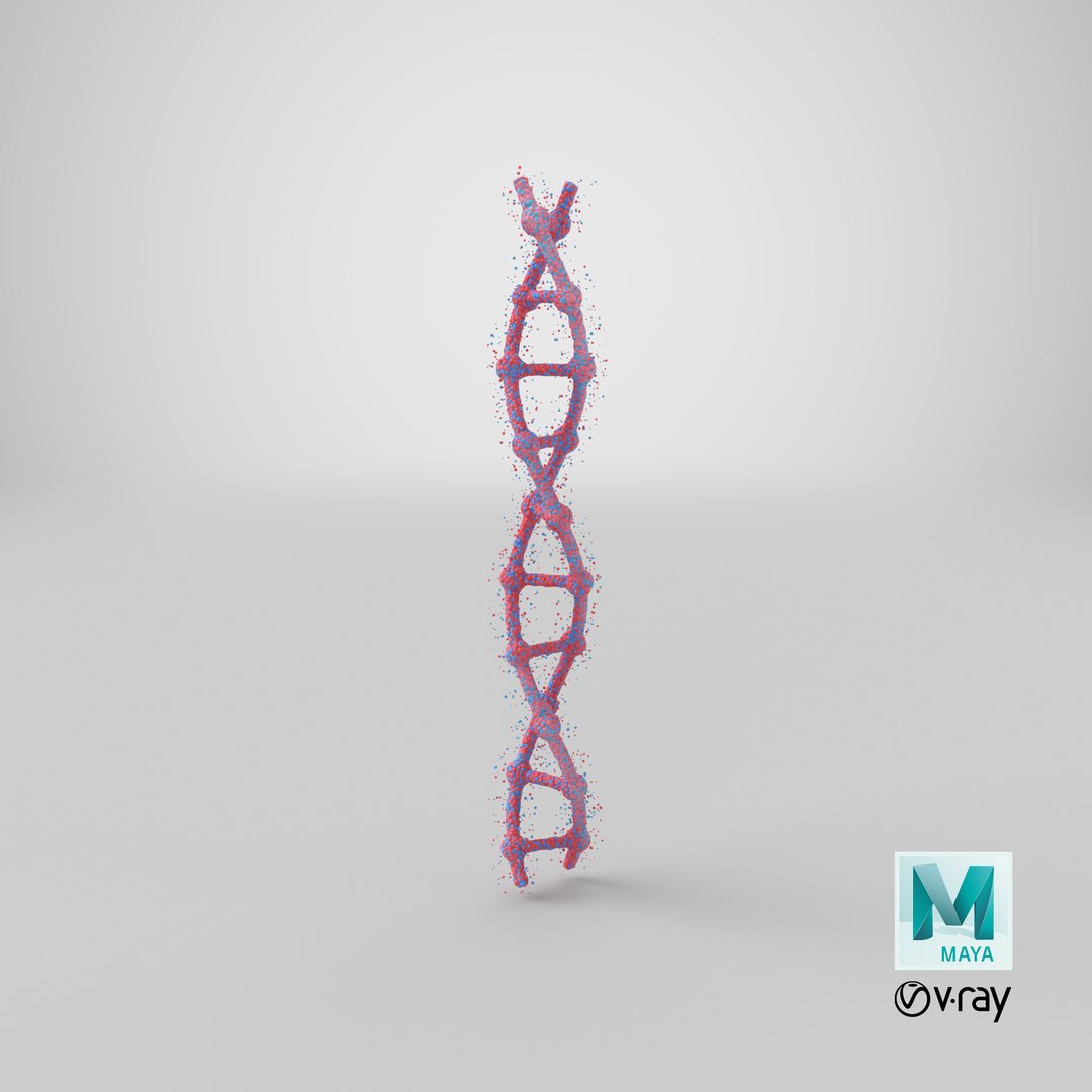 3D model DNA https://p.turbosquid.com/ts-thumb/t5/TKVxuH/js/stemcell_maya_vray_render/png/1651755539/1920x1080/fit_q87/b8c1f8640b9c6651c703dcf69b4328058aa0a3b4/stemcell_maya_vray_render.jpg