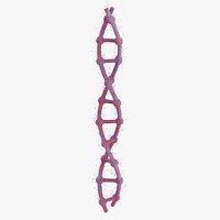 DNA