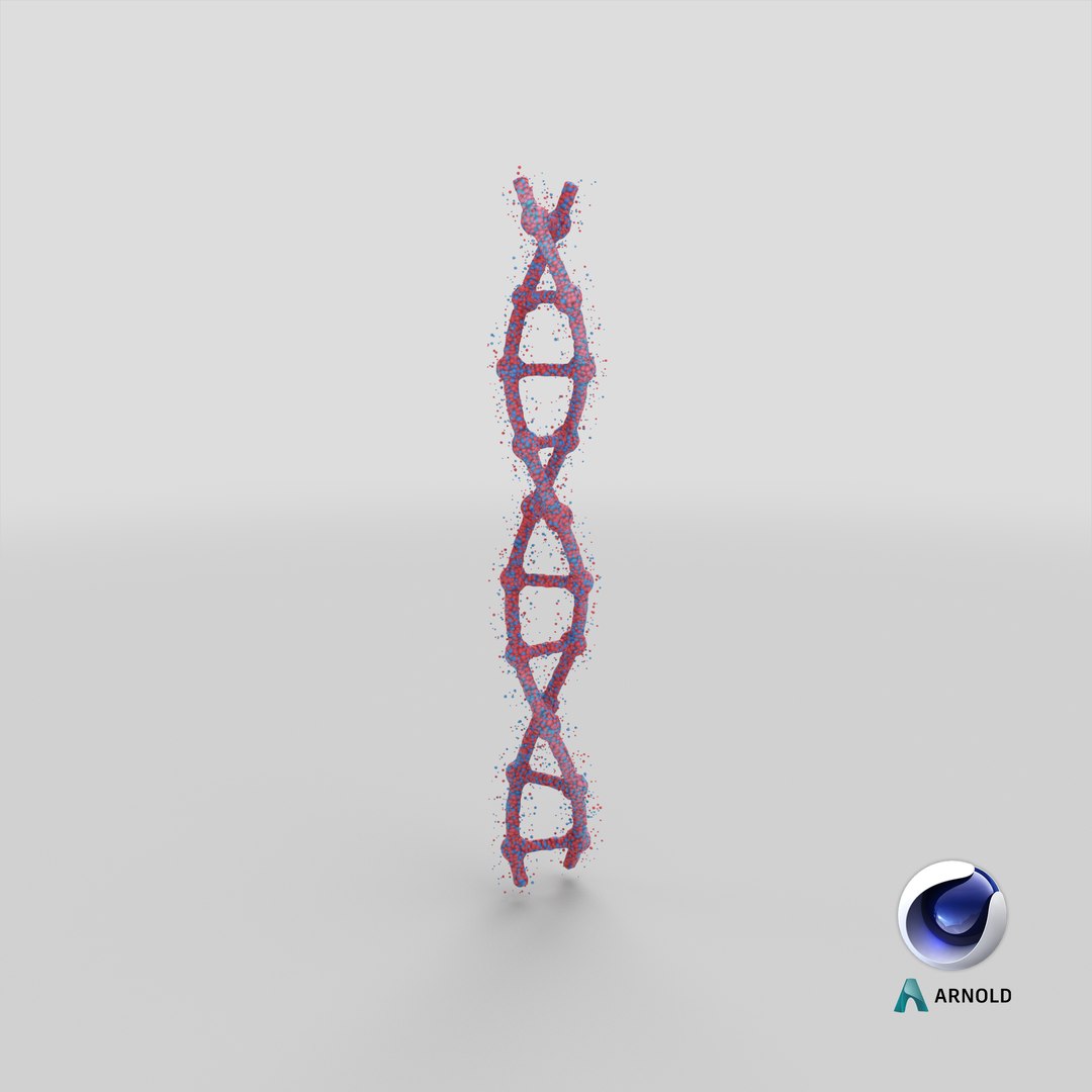 3D model DNA https://p.turbosquid.com/ts-thumb/t5/TKVxuH/rZ/stemcell_cinema_4d_arnold_render/png/1651755526/1920x1080/fit_q87/290ebd5308fcaaa9246d3e6a0dd733faa0409dc0/stemcell_cinema_4d_arnold_render.jpg