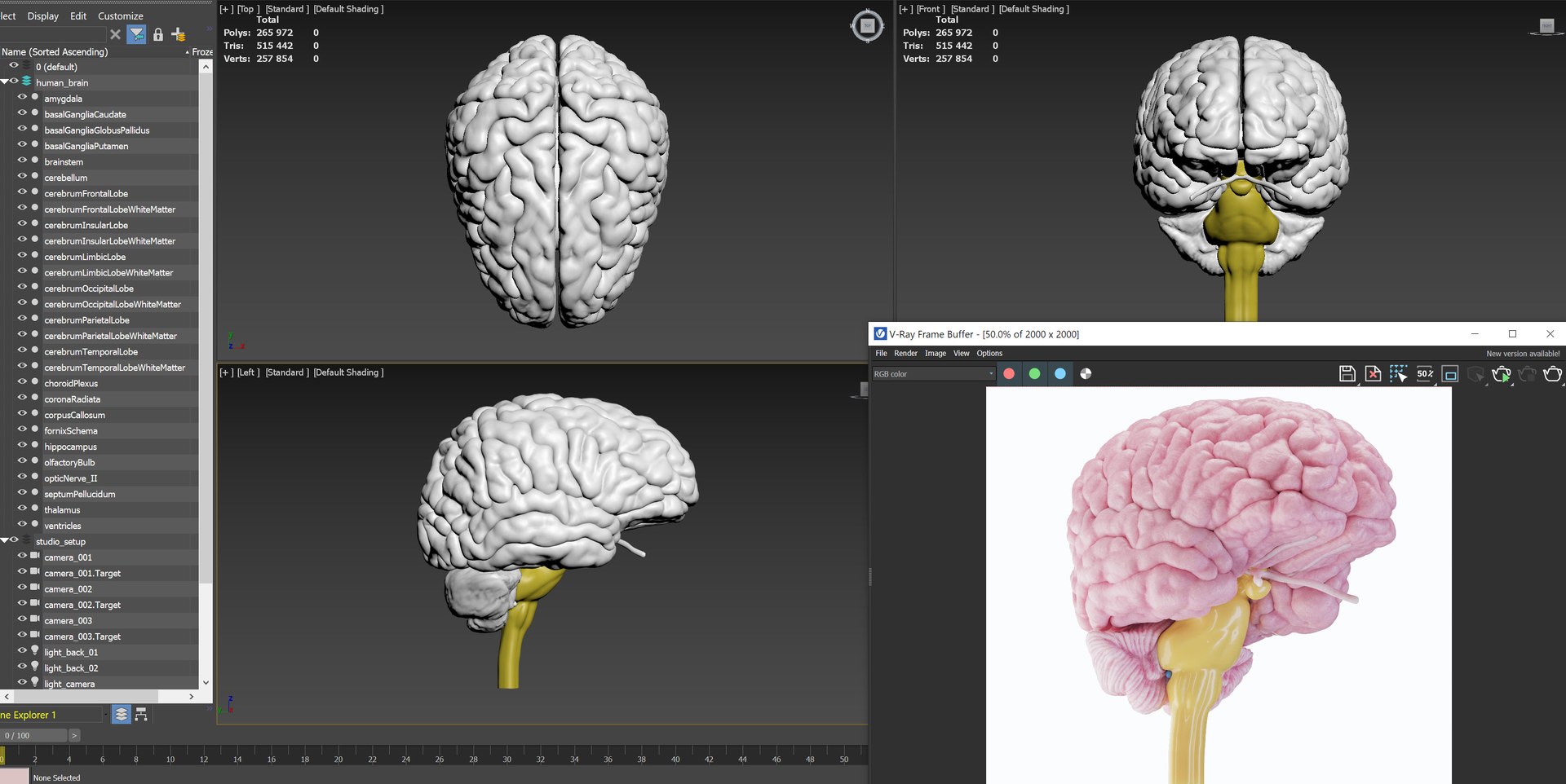3D Human Brain - TurboSquid 2185248