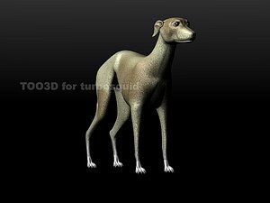 3d model hound greyhound