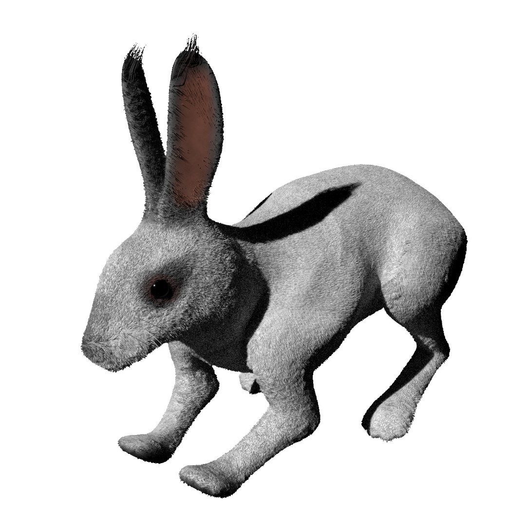 3D Model Rabbit BW ANIMATED RIGGED FUR - TurboSquid 1930578